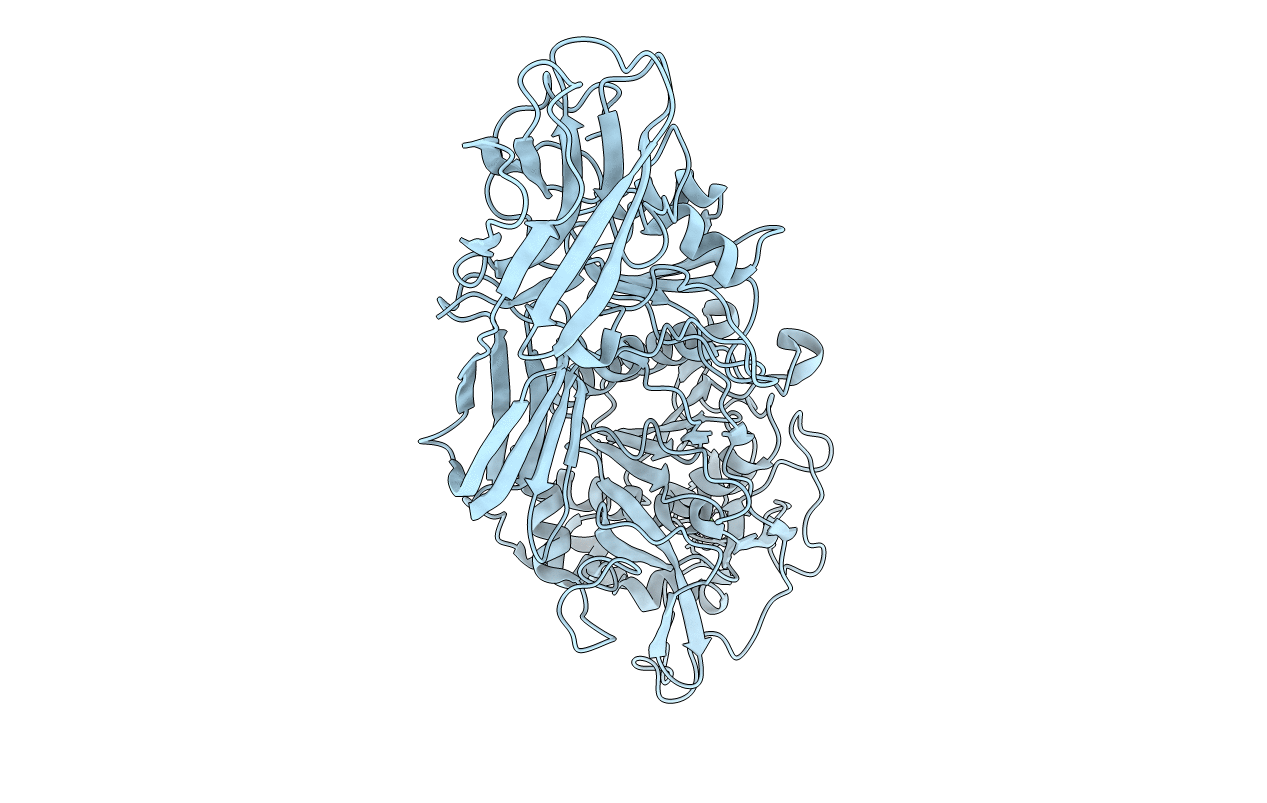 1R6V image
