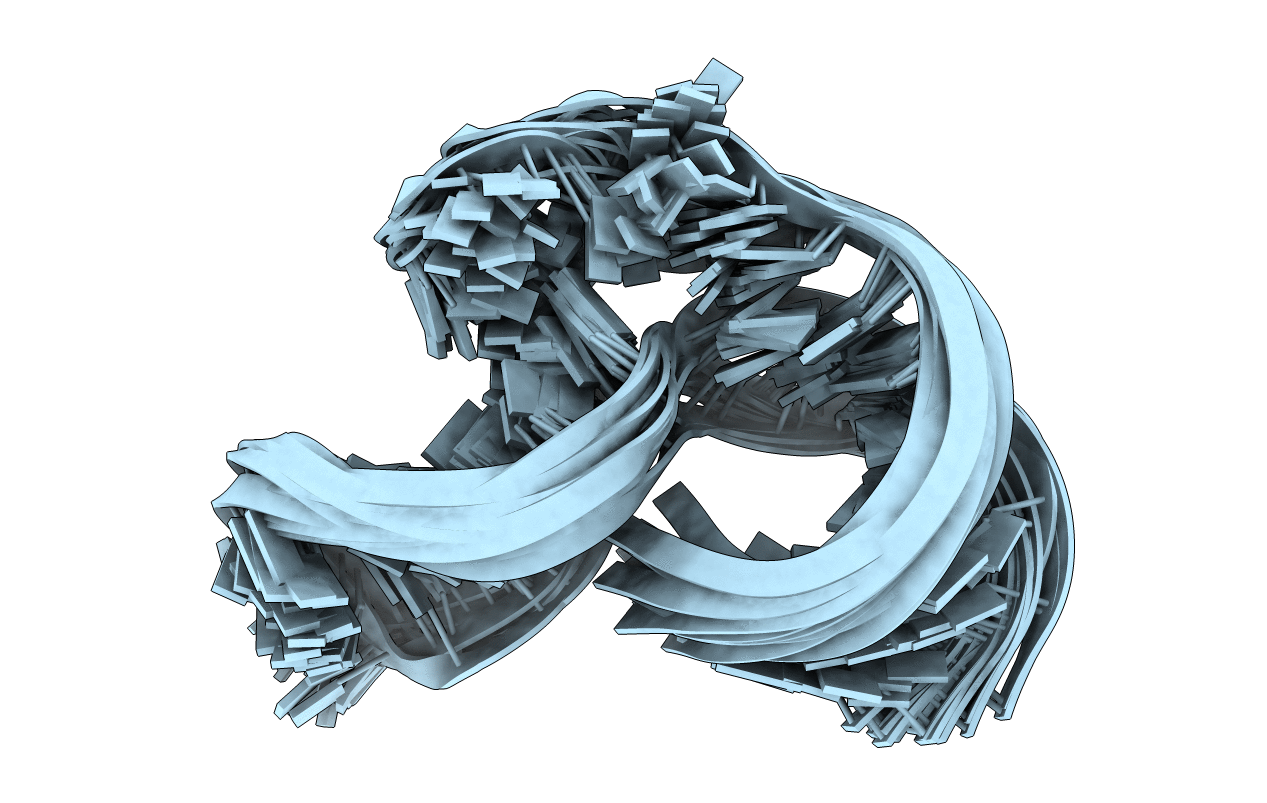 1R7Z image
