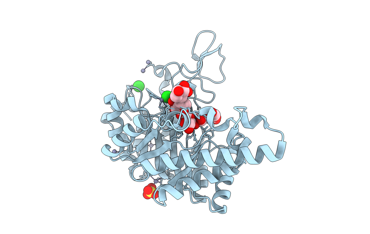 1R87 image