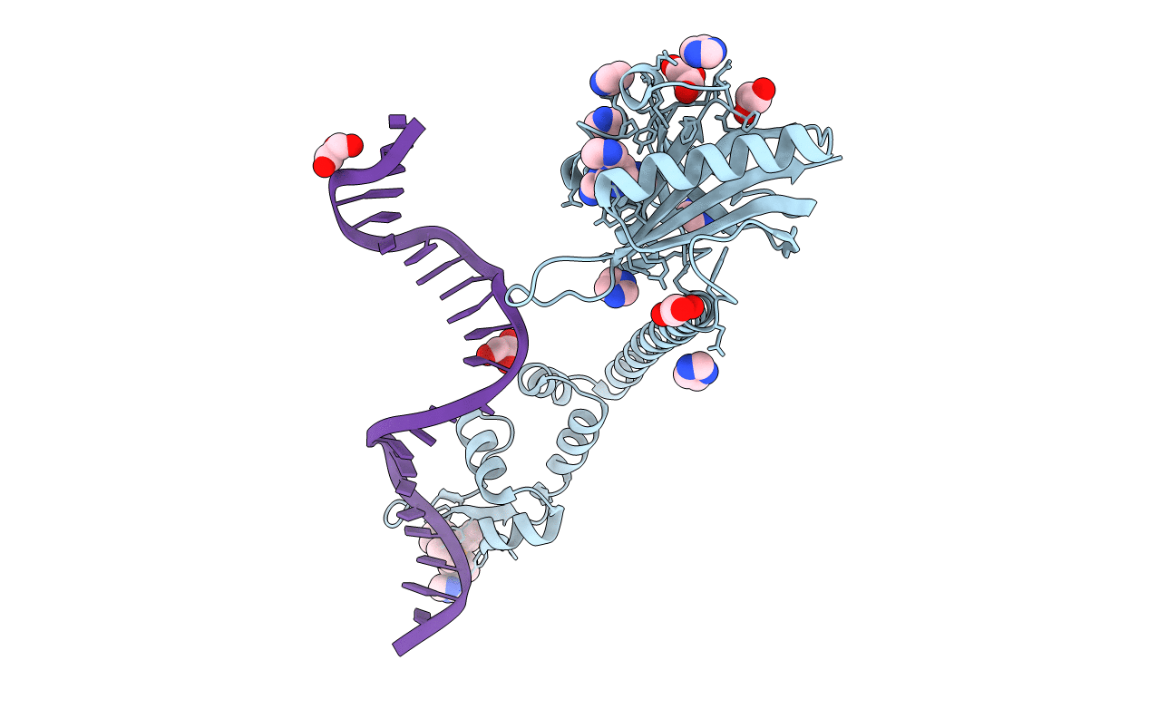1R8E image