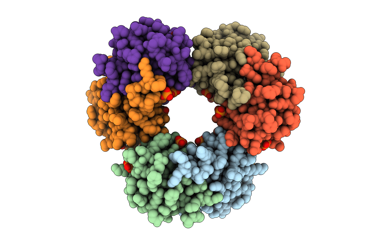 1R8H image