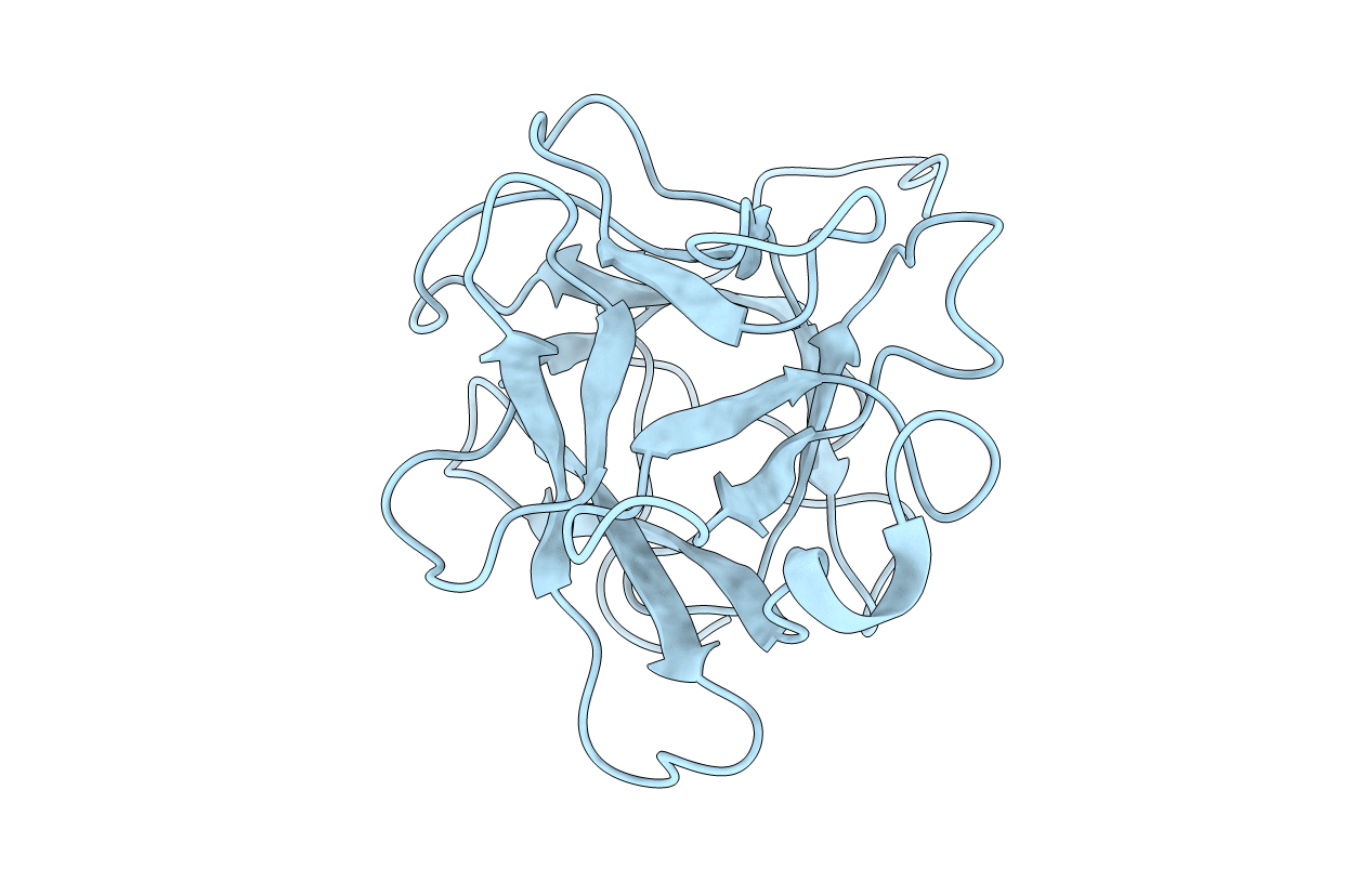 1R8N image