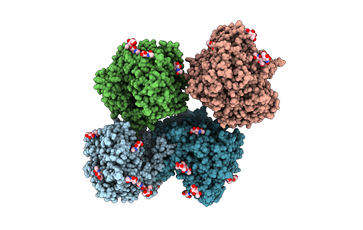 1R9N image
