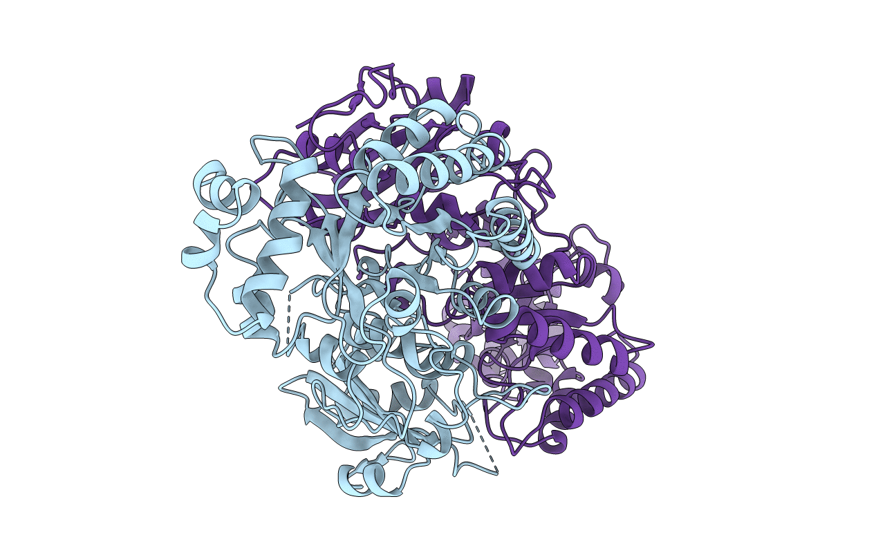 1RBA image