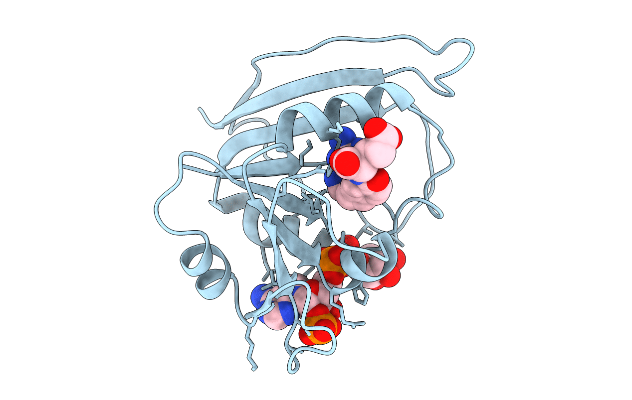 1RC4 image