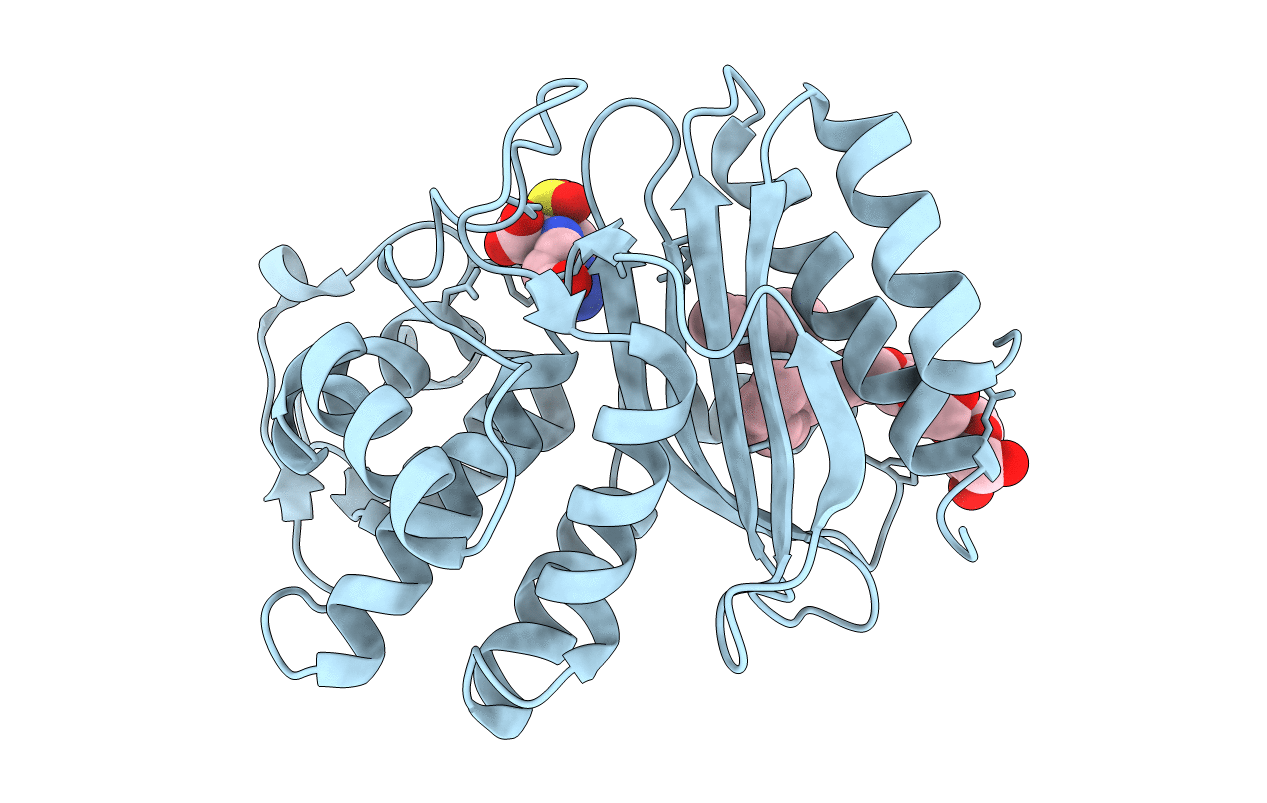 1RCJ image