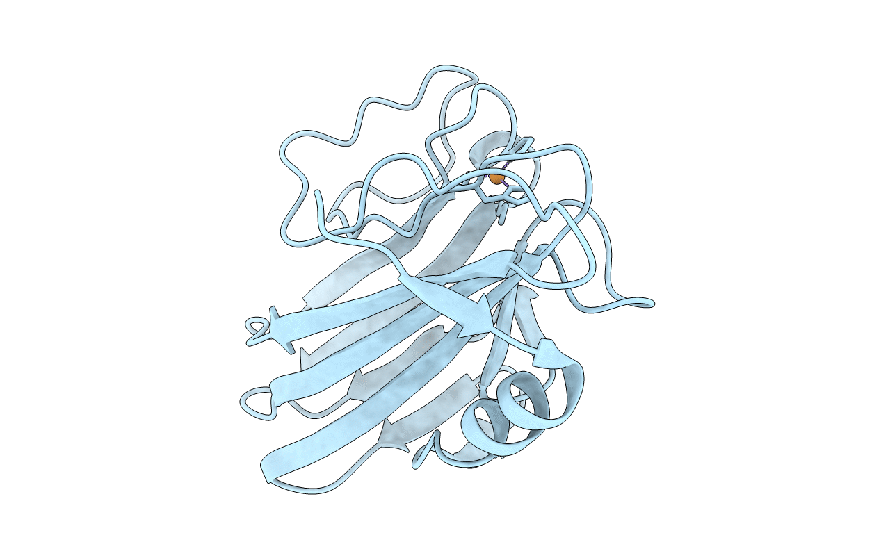 1RCY image