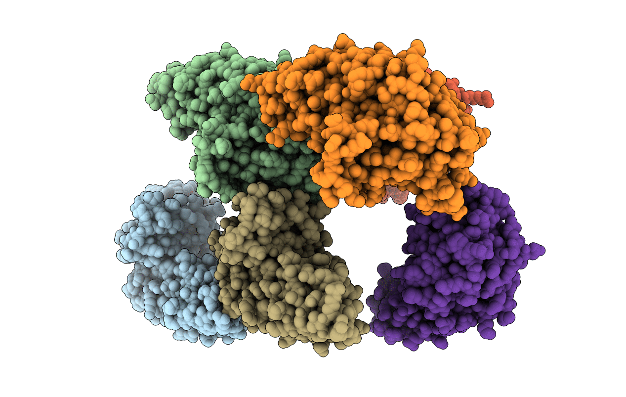 1RDF image