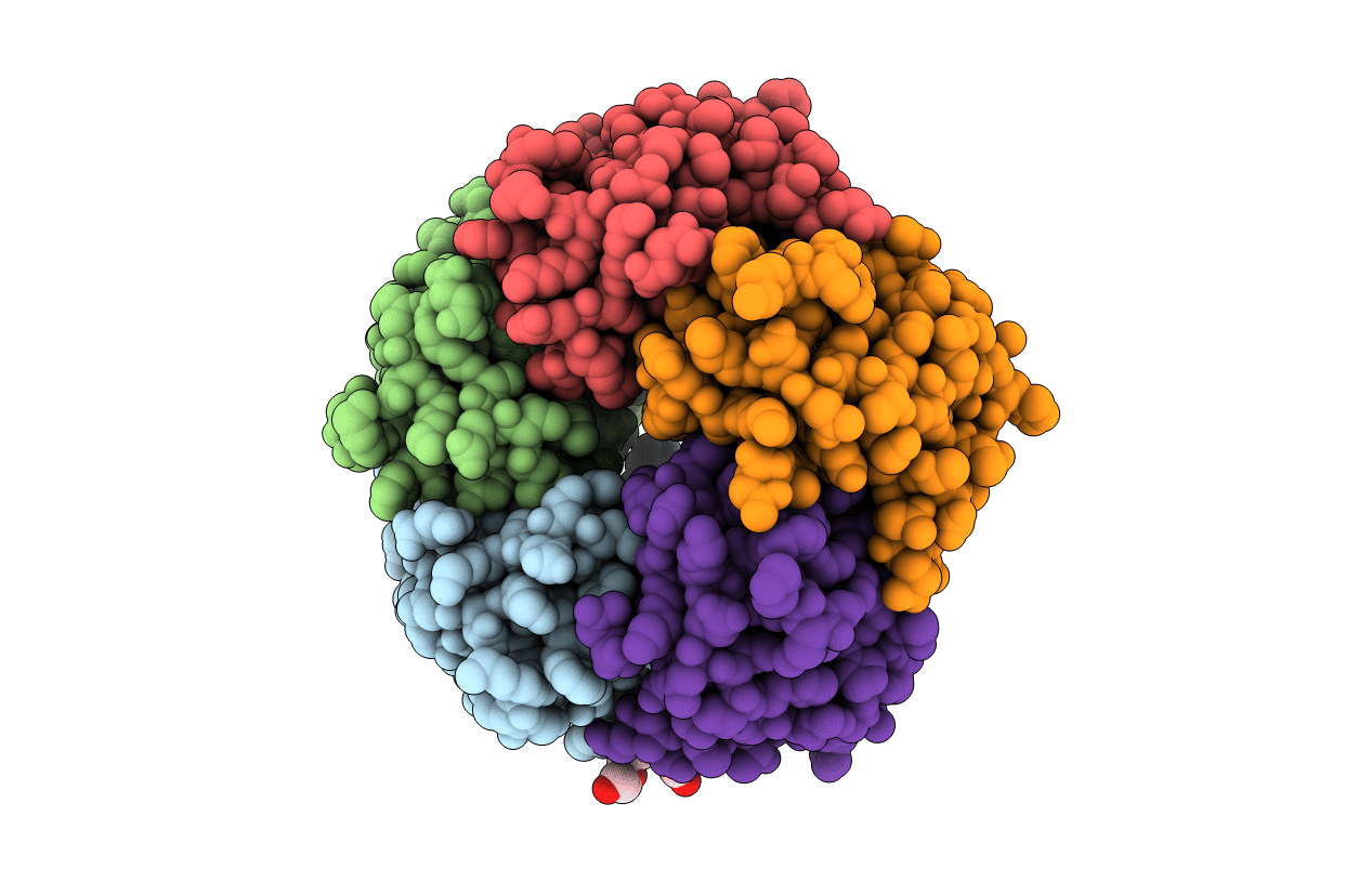 1RDP image