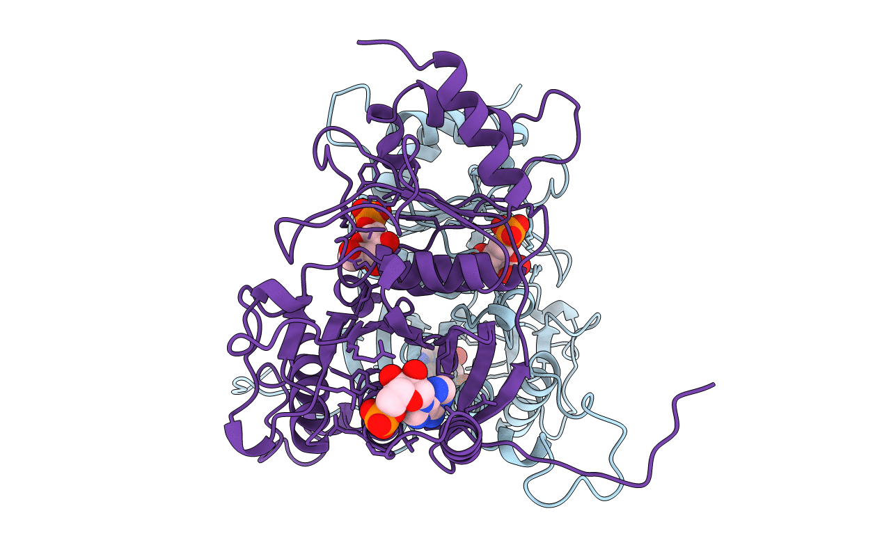 1RDZ image