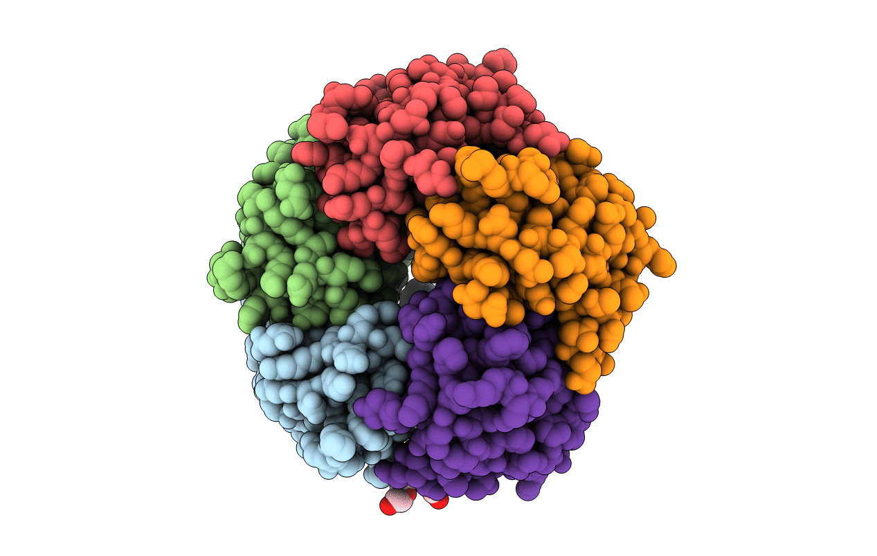 1RF2 image