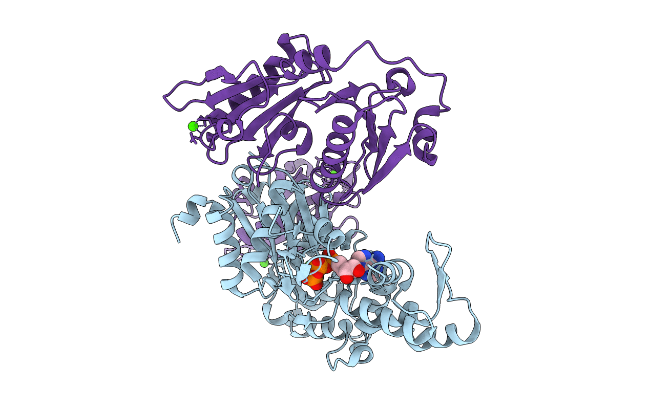 1RGI image