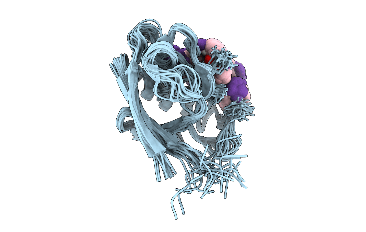 1RGR image