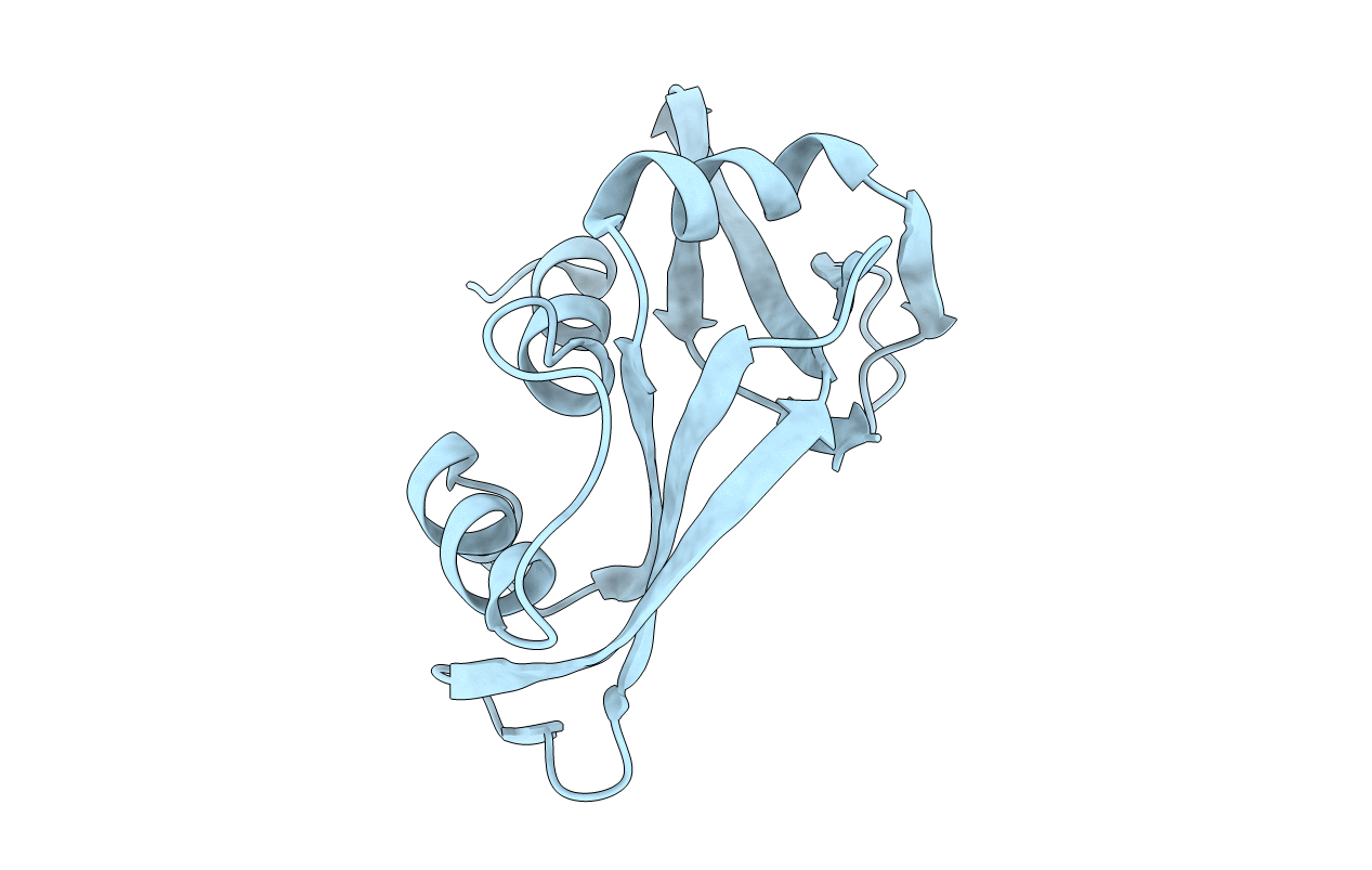 1RHB image