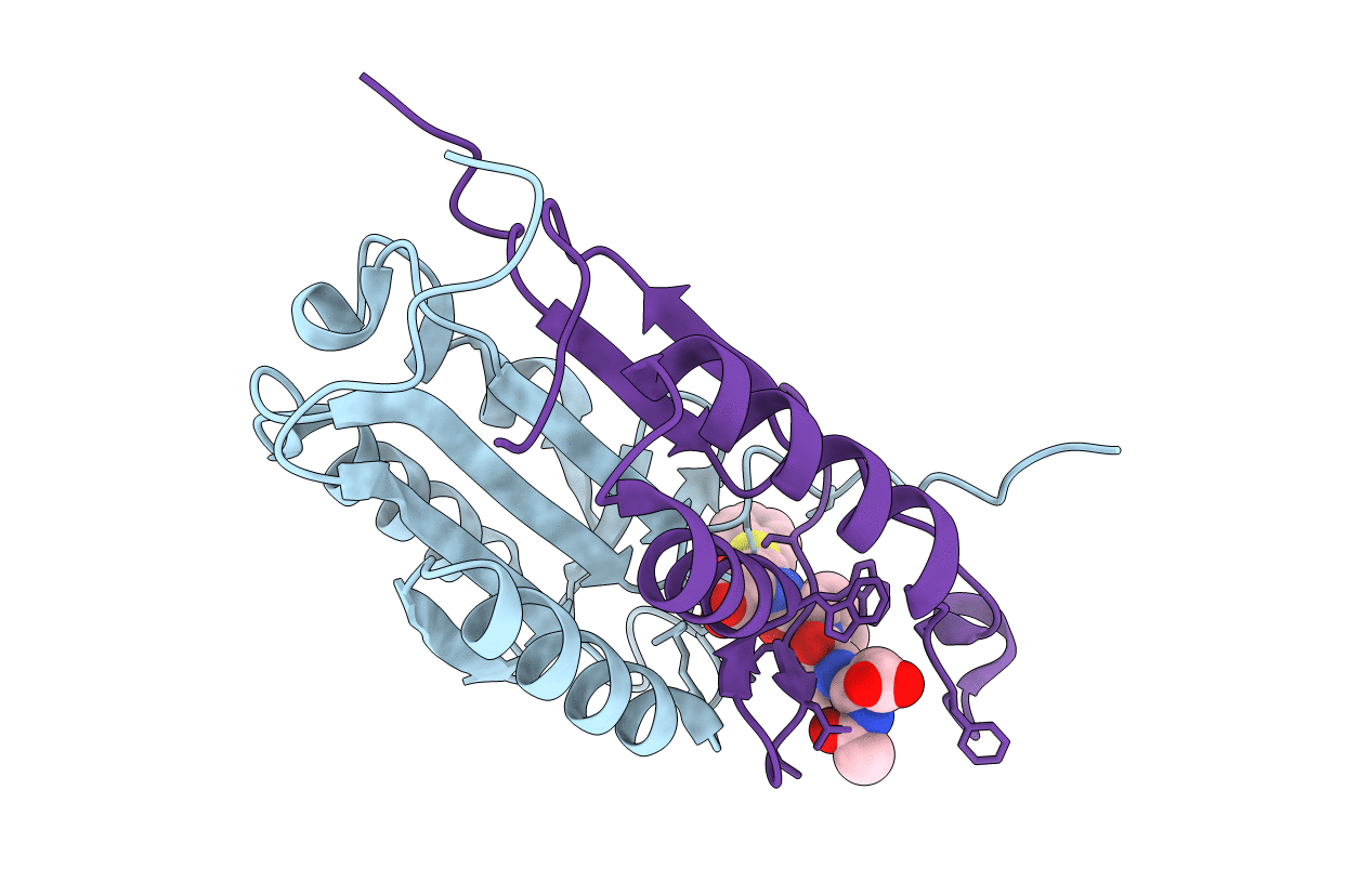 1RHU image