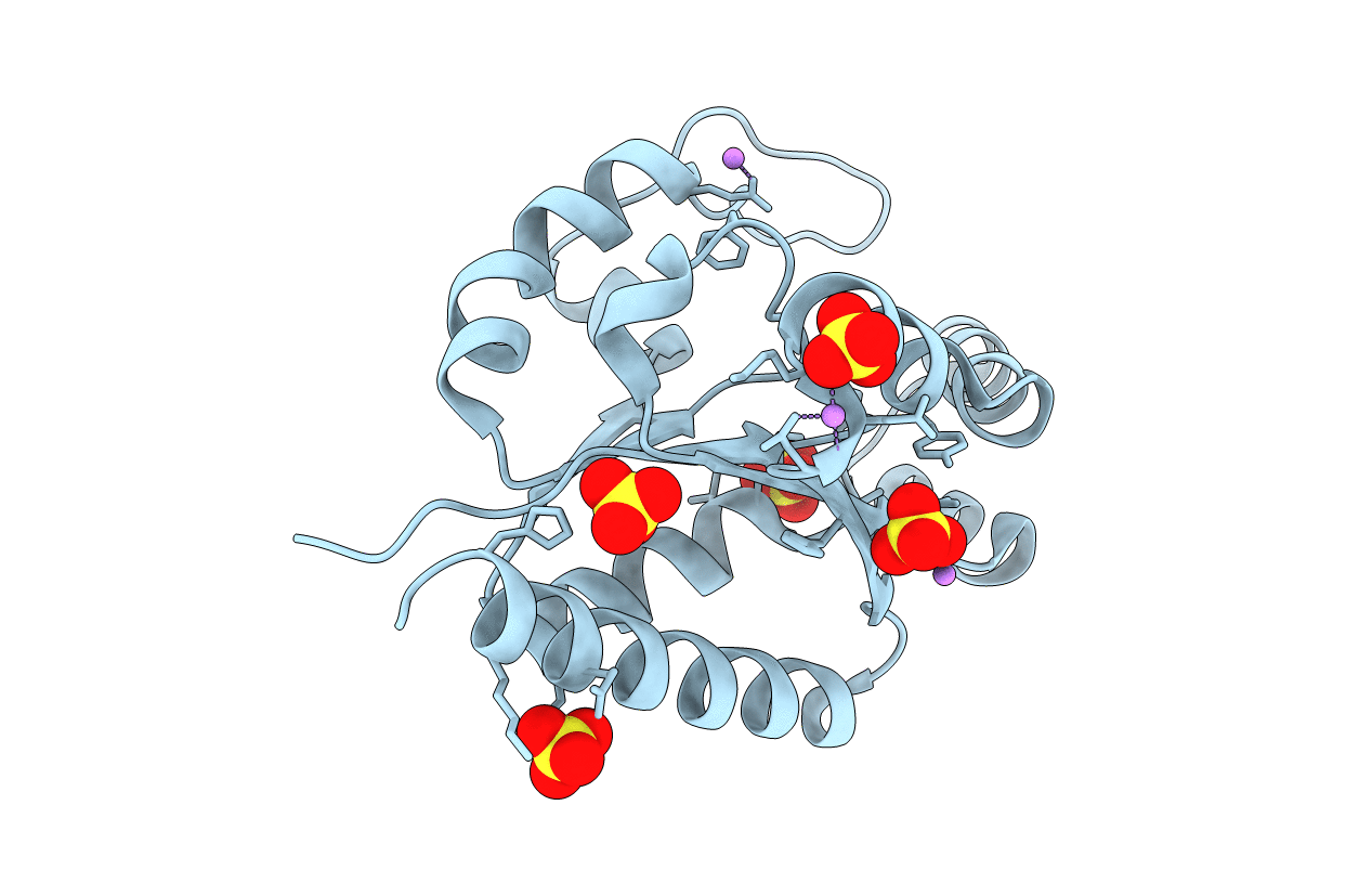 1RKB image