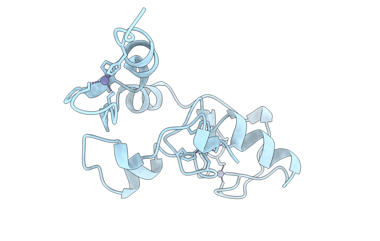1RMD image