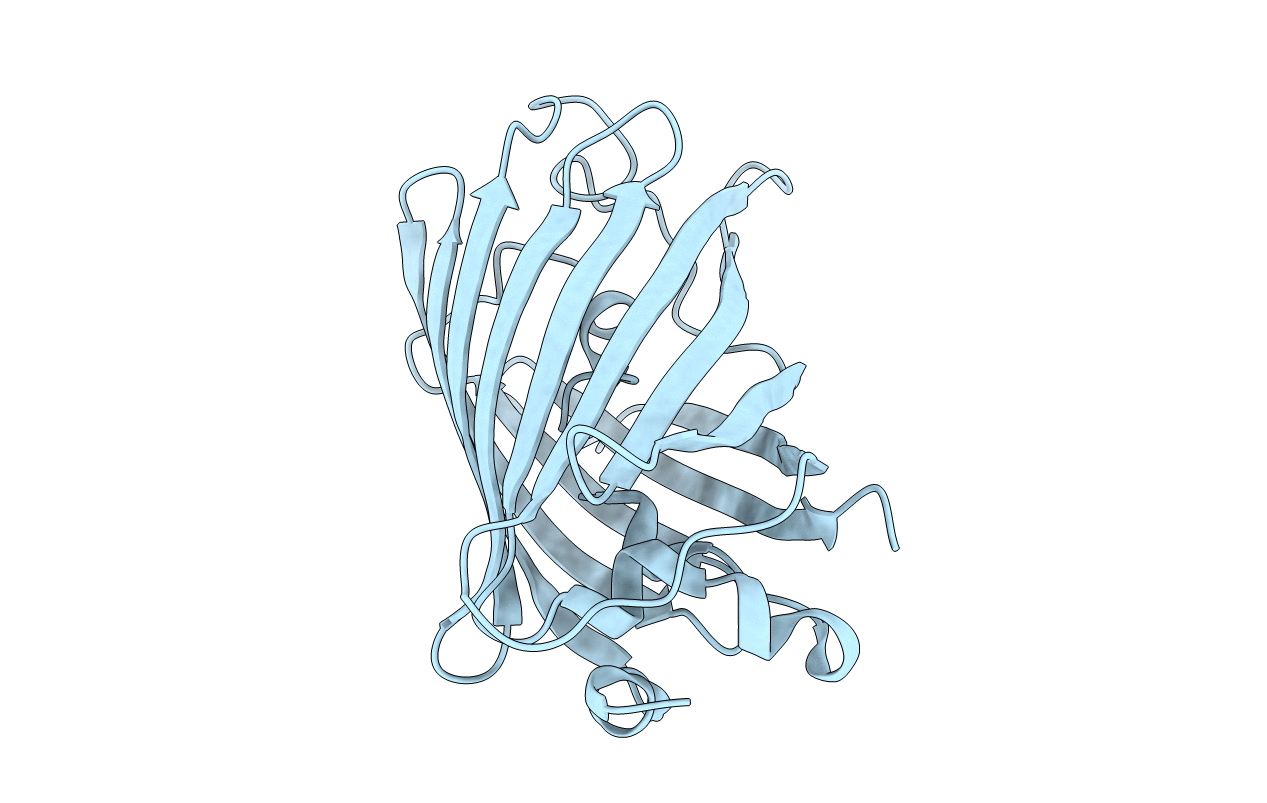 1RMM image