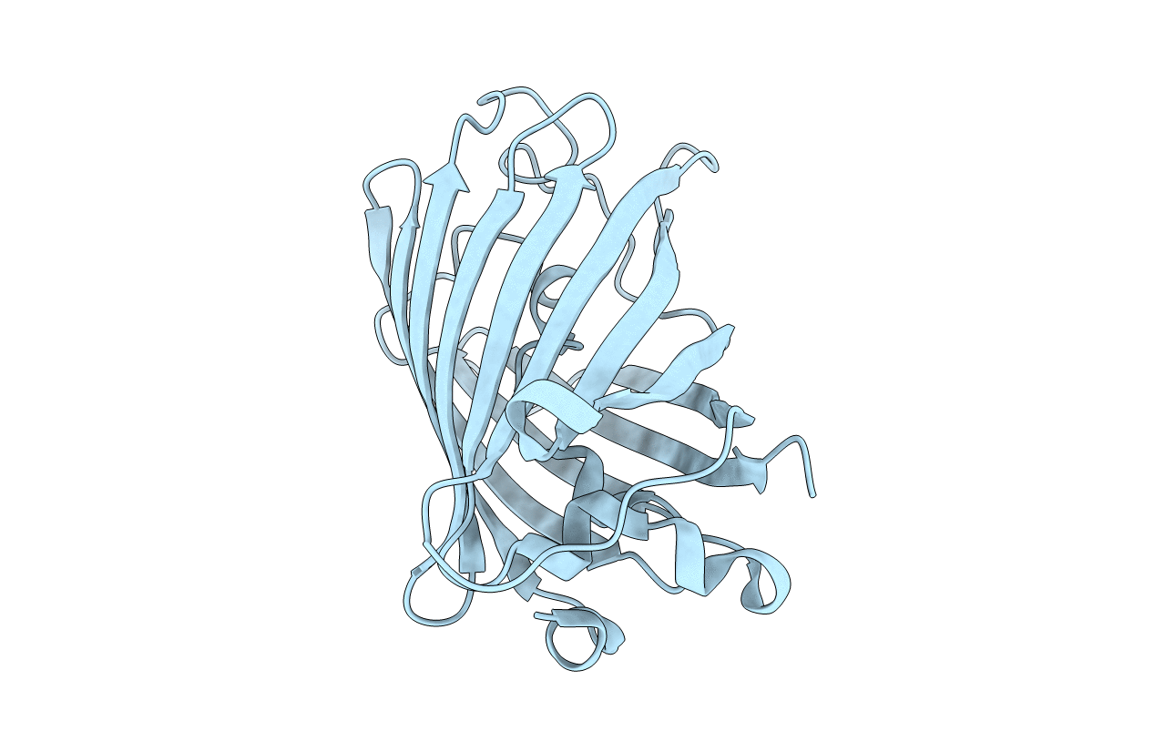 1RMO image