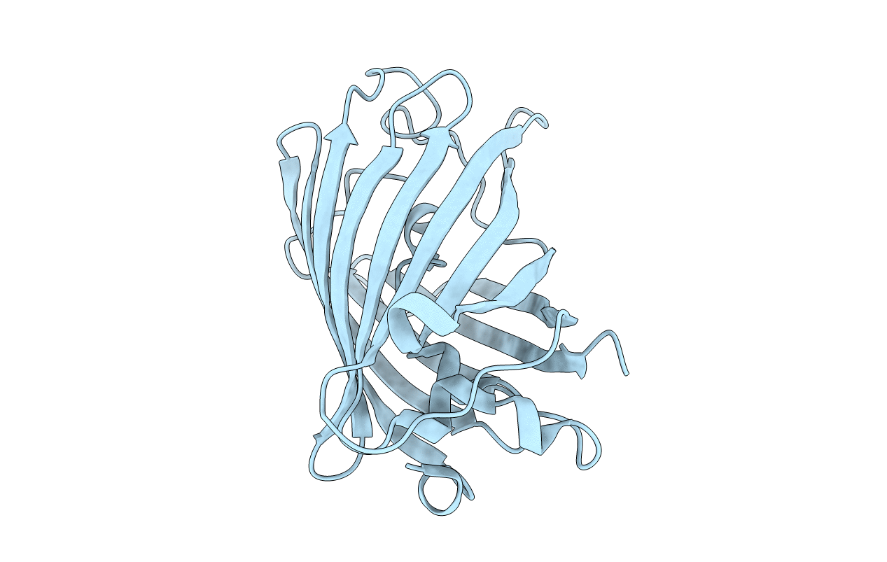 1RMP image