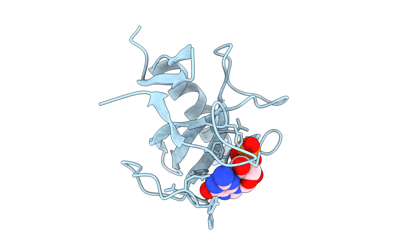1RMS image