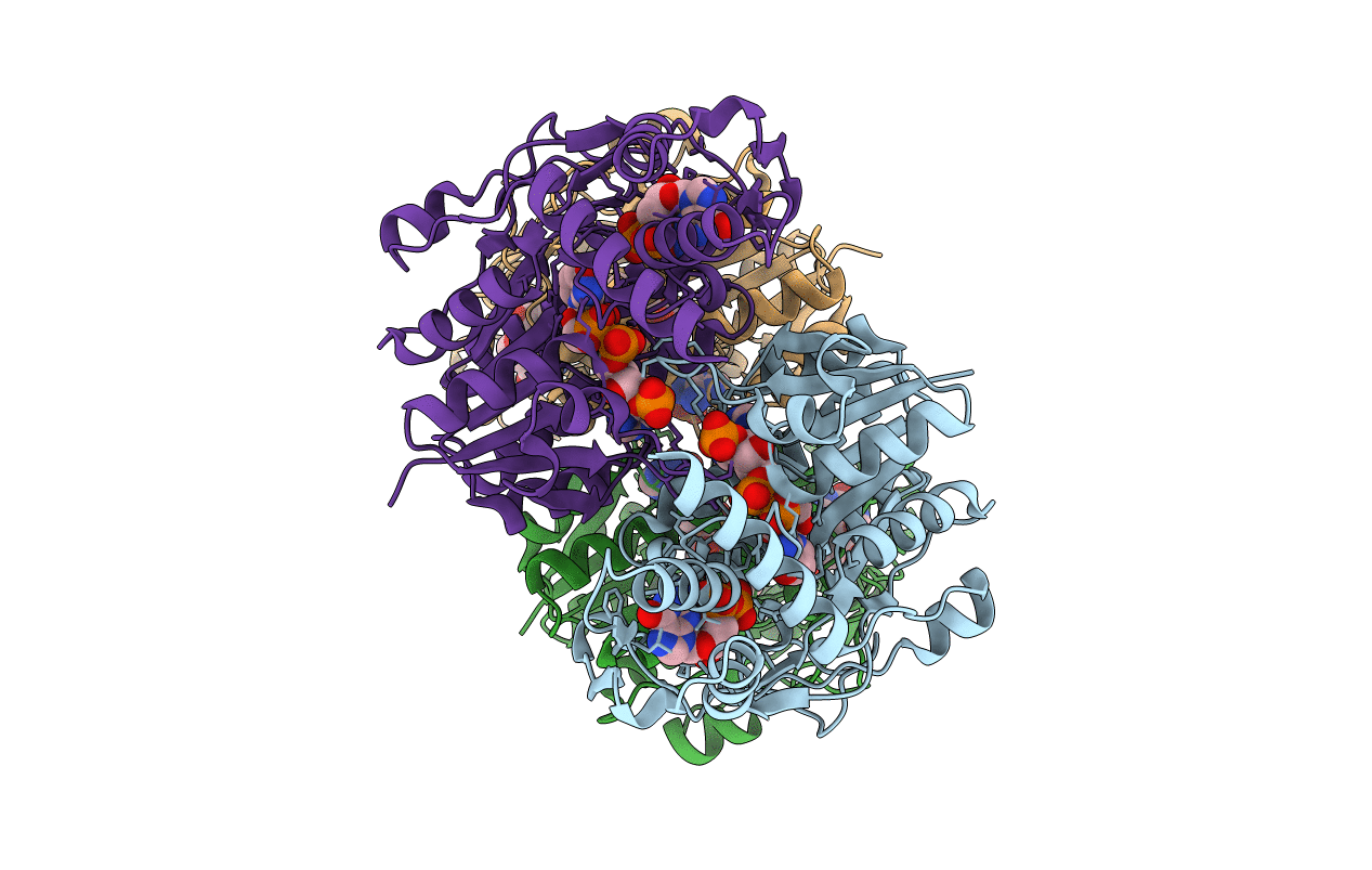 1RPN image