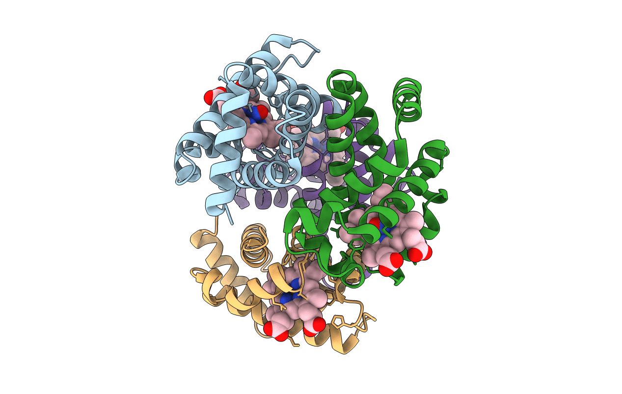 1RQA image