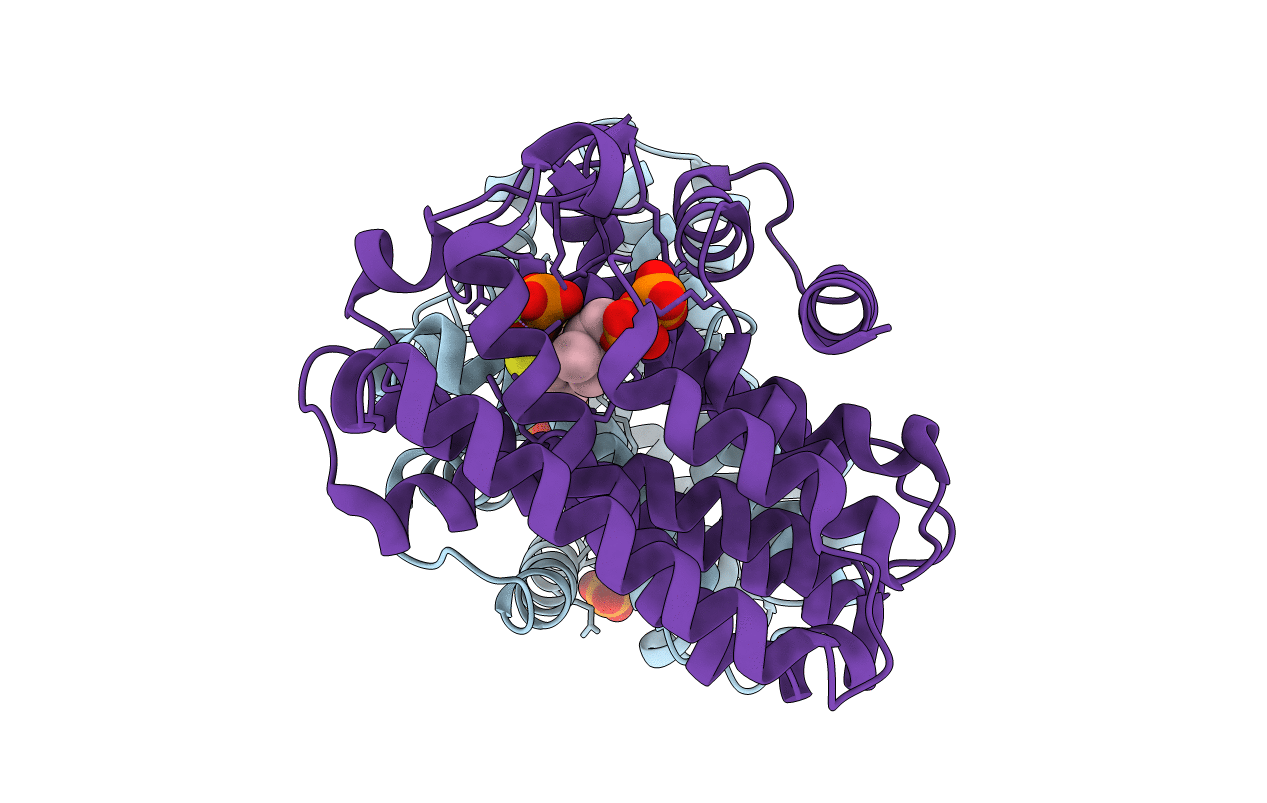 1RQI image