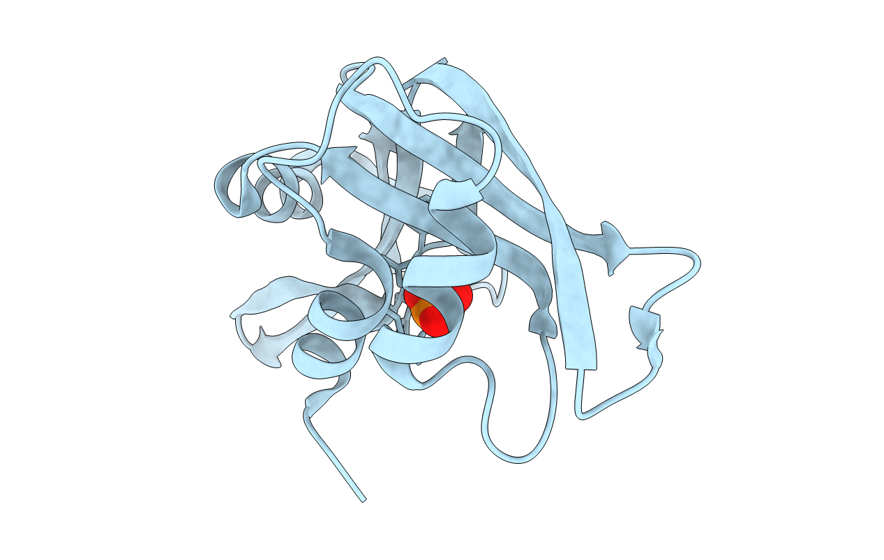 1RRA image