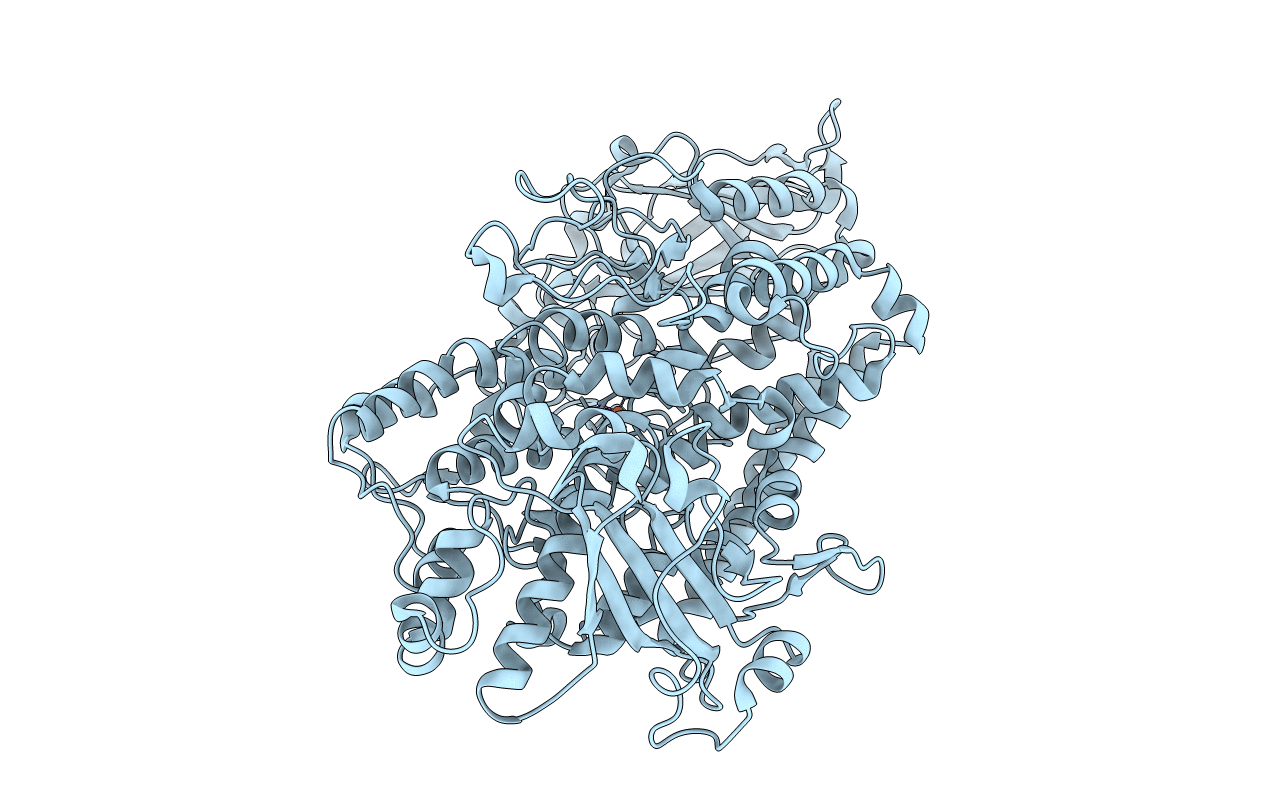 1RRH image