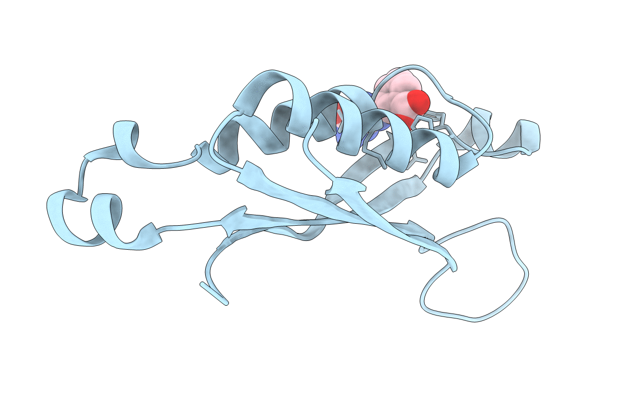 1RRI image