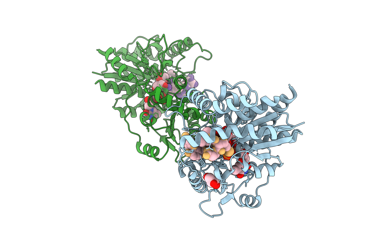 1RRV image