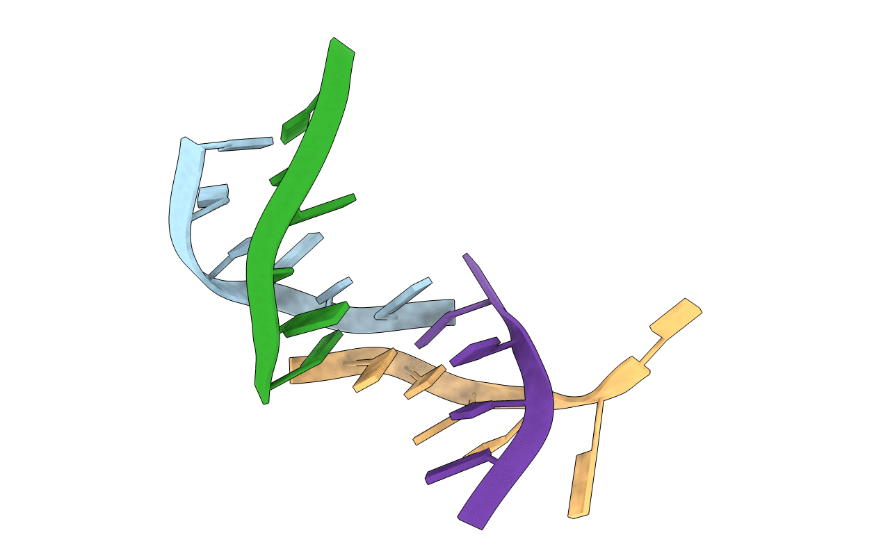 1RSB image