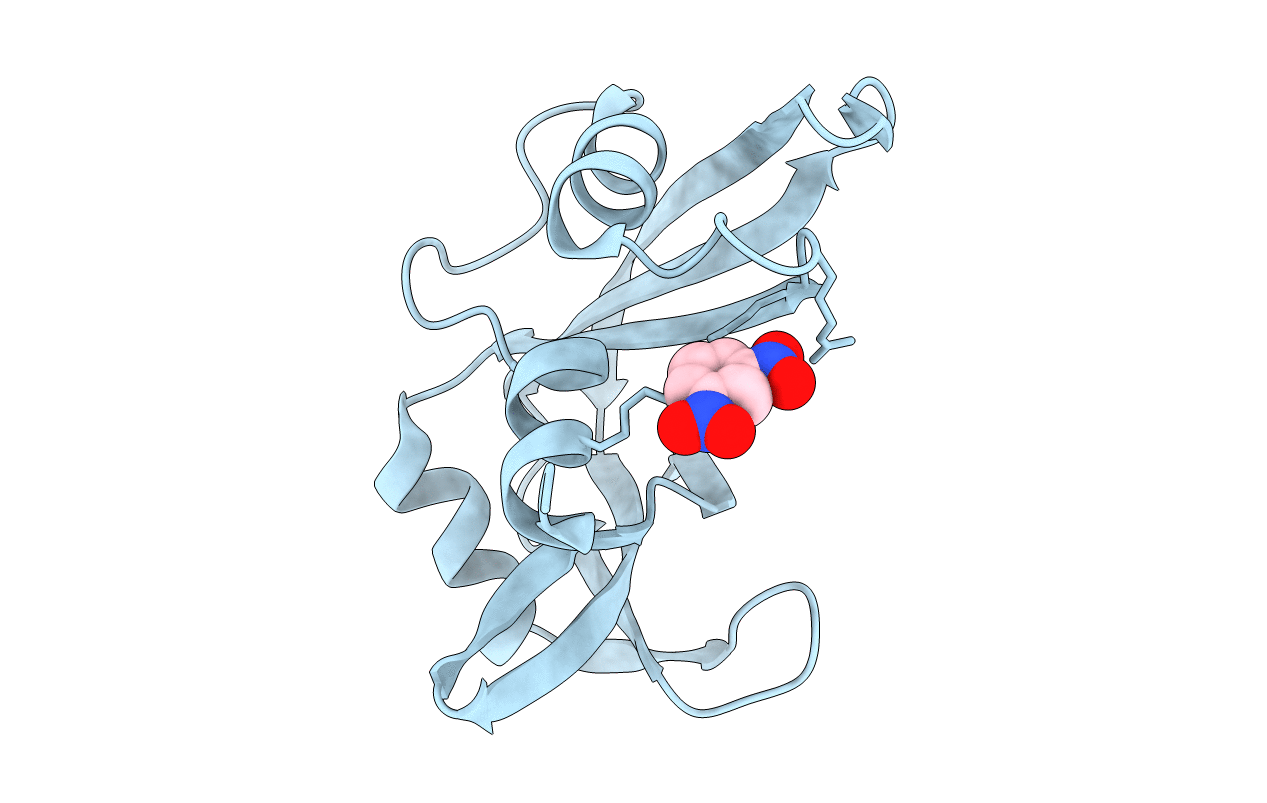 1RSM image