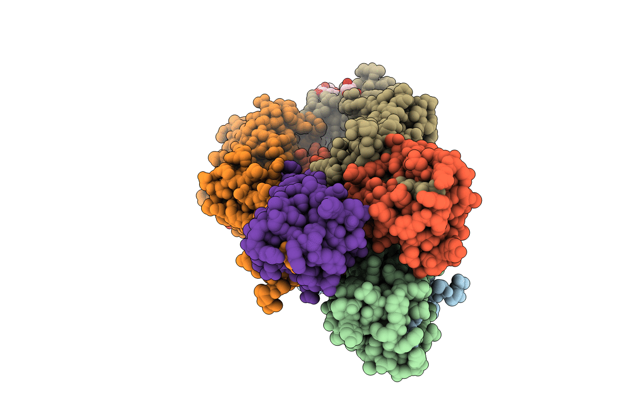 1RVT image