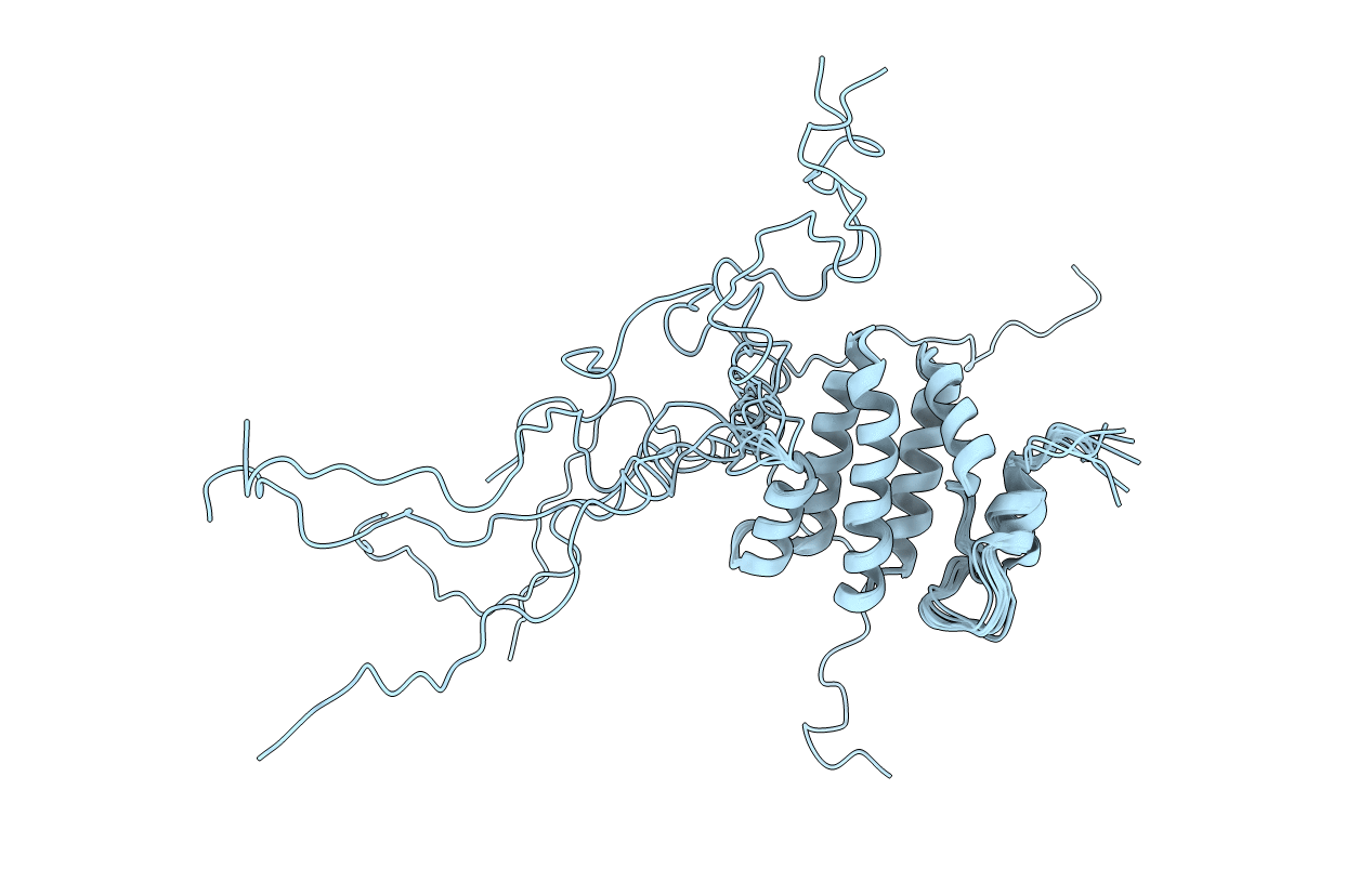 1RW2 image