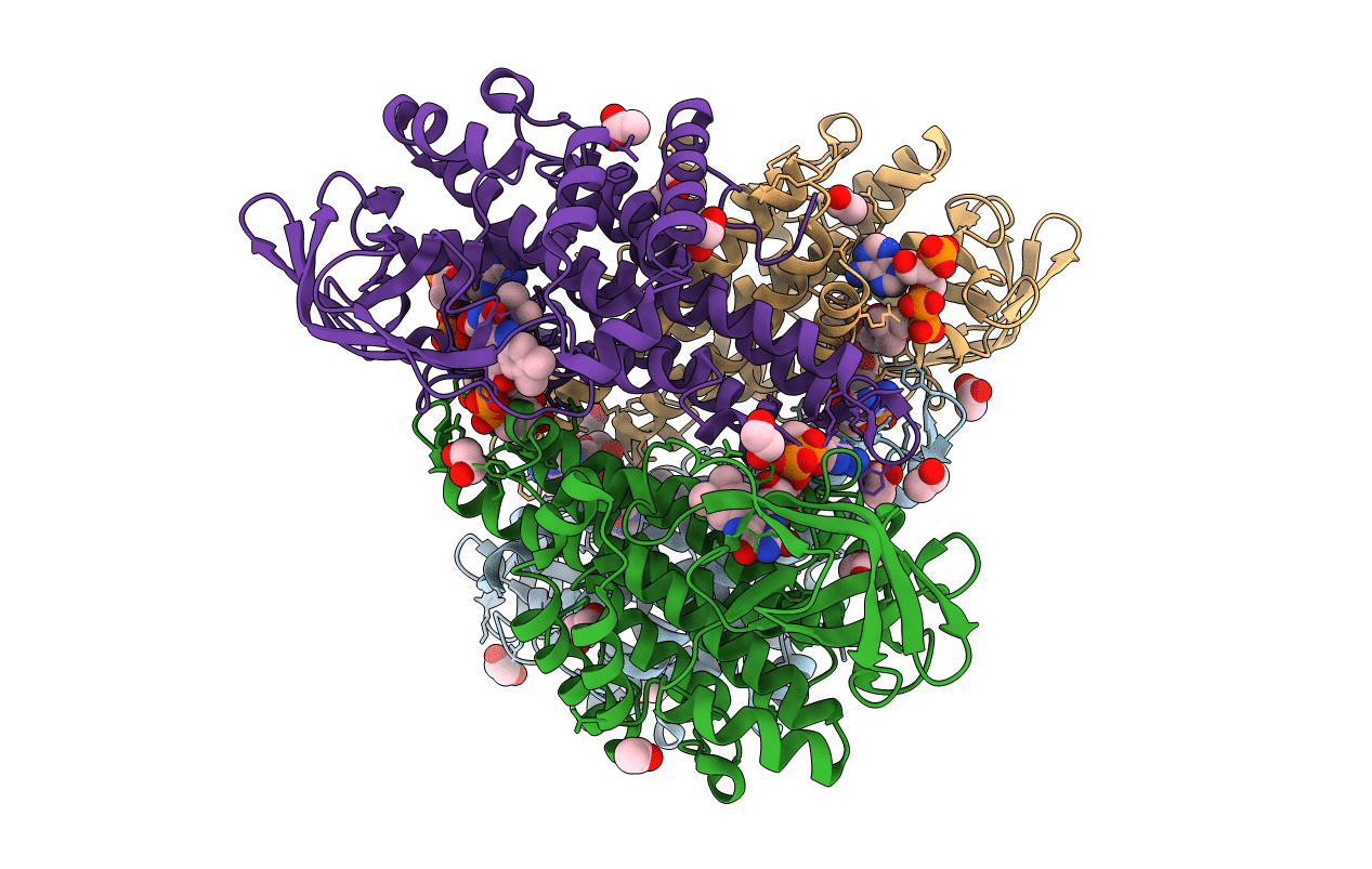 1RX0 image