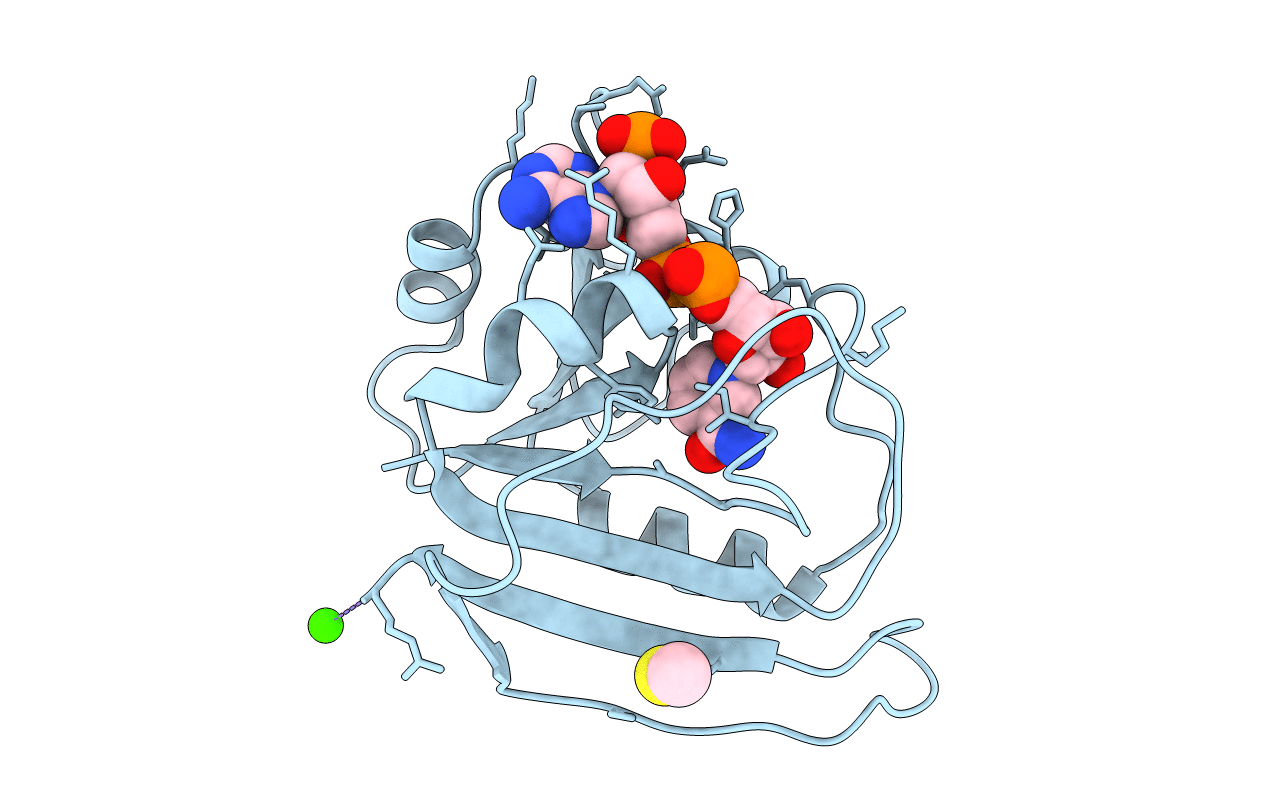 1RX9 image