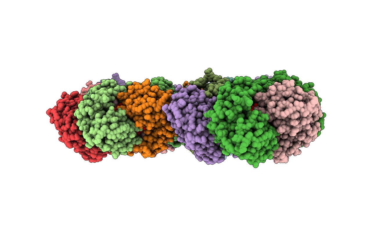 1RXS image