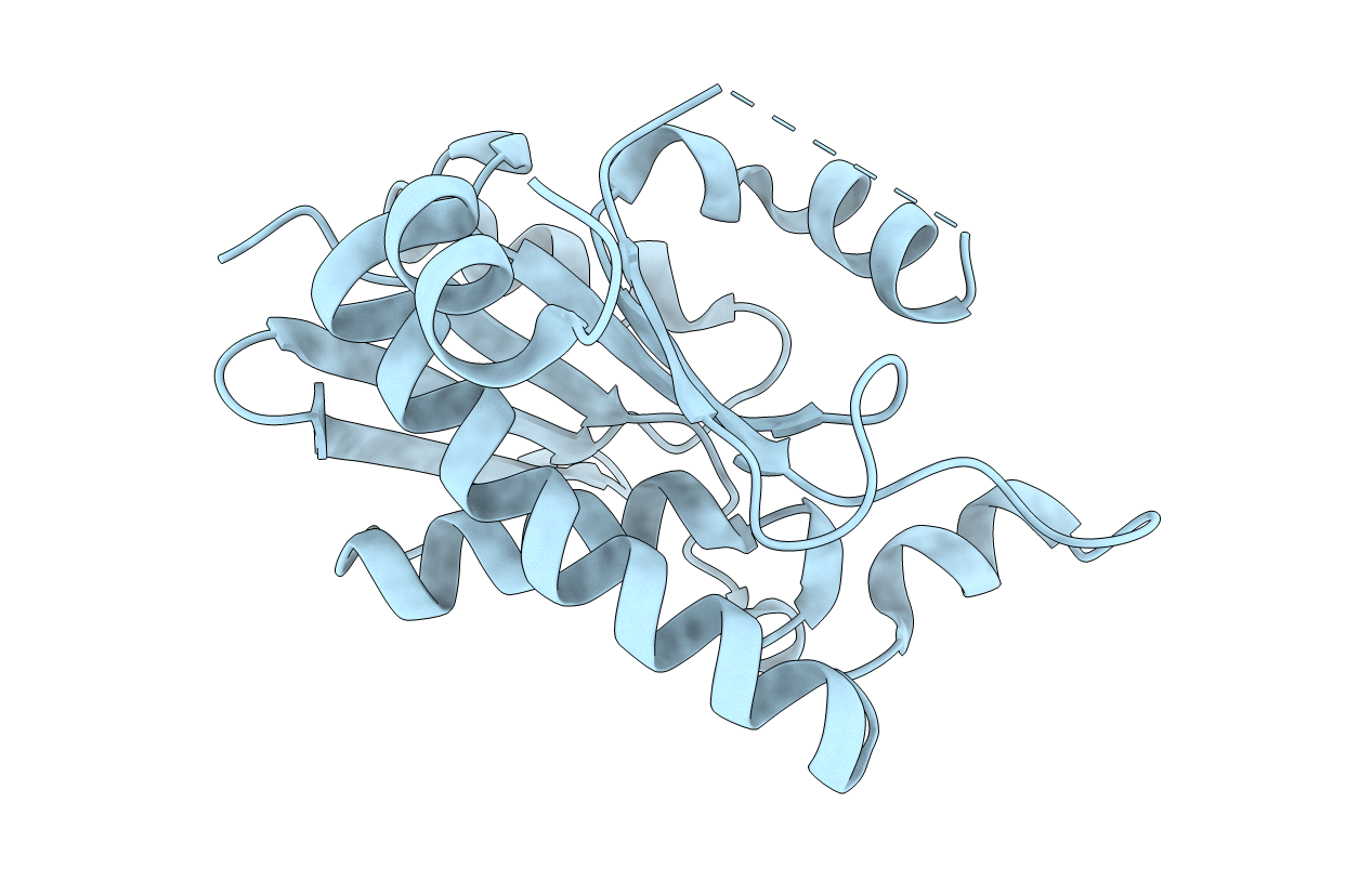 1RYM image