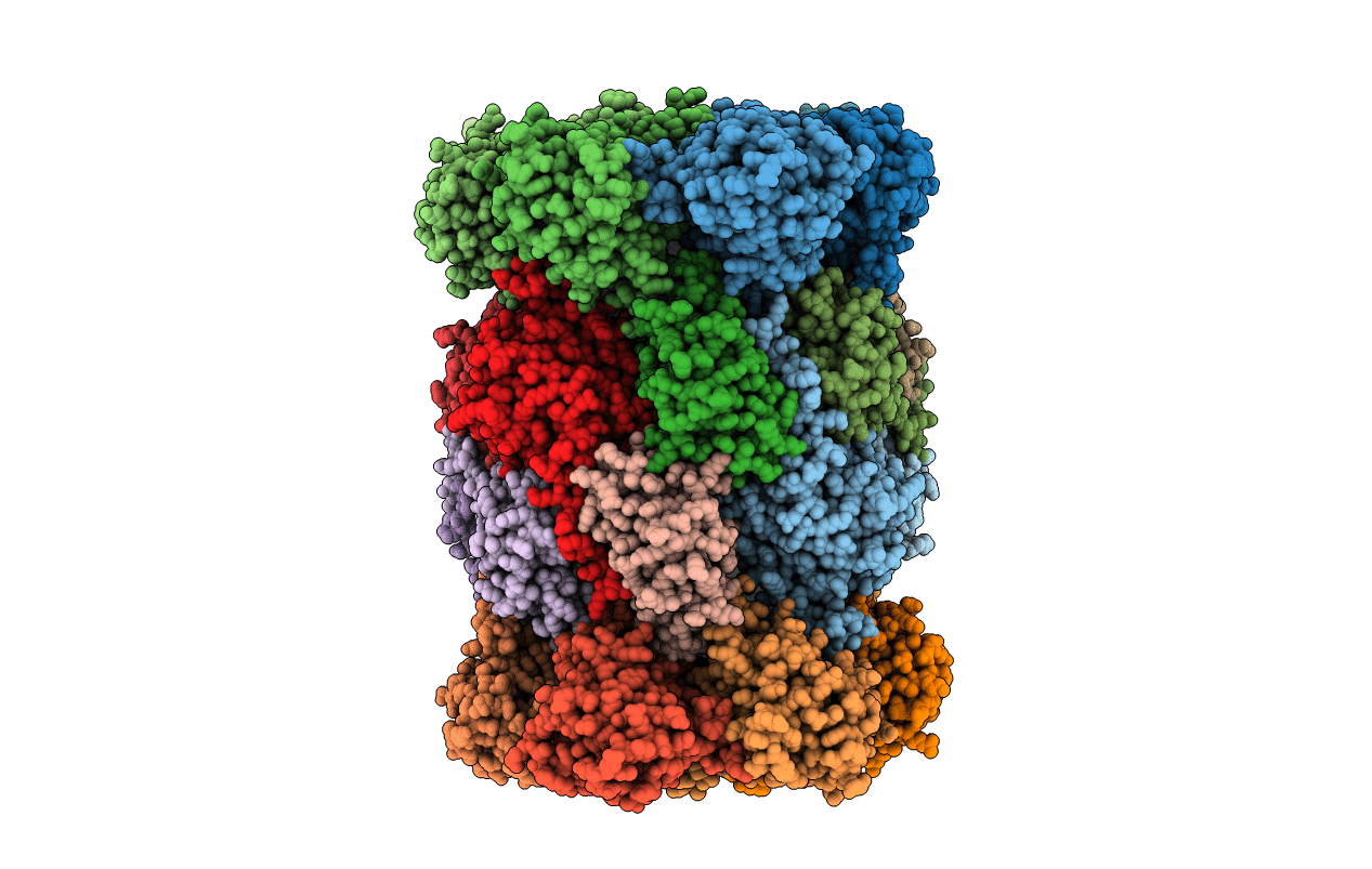 1RYP image