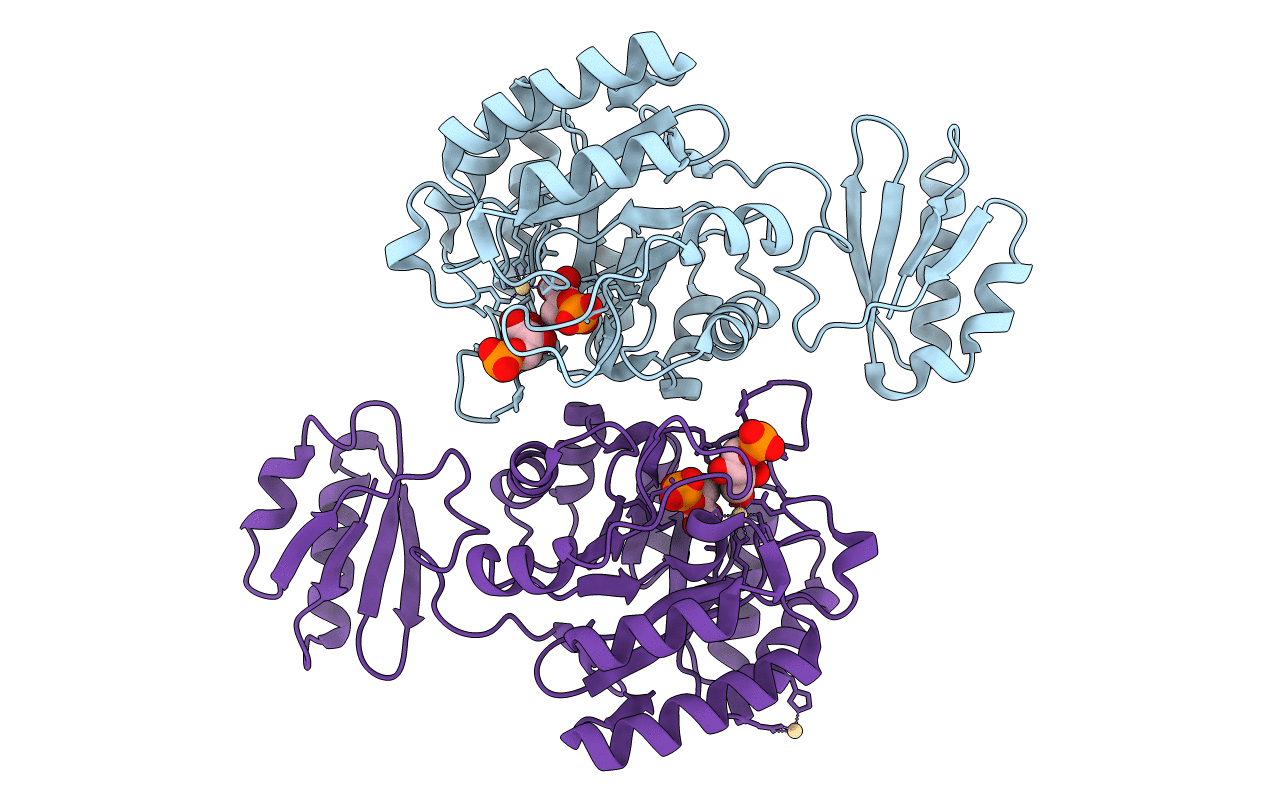 1RZM image