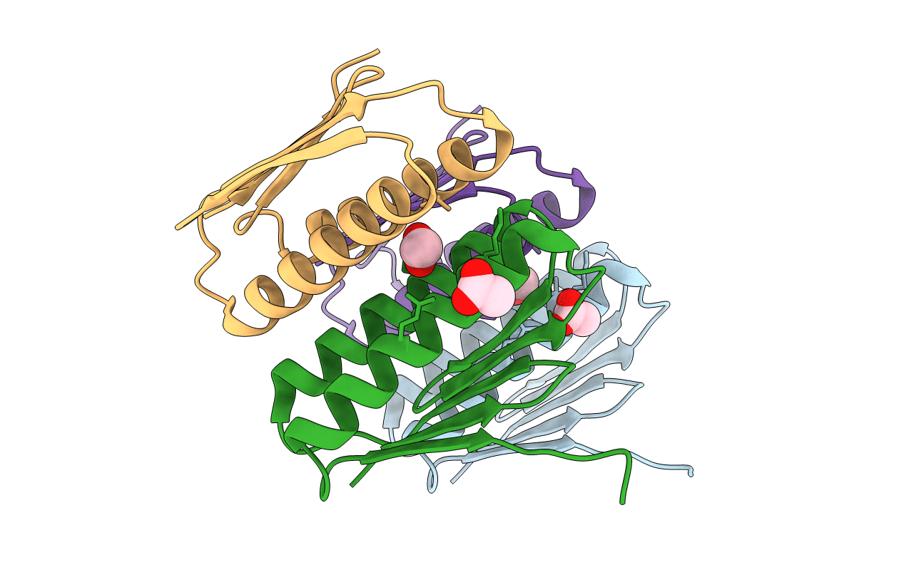 1S12 image