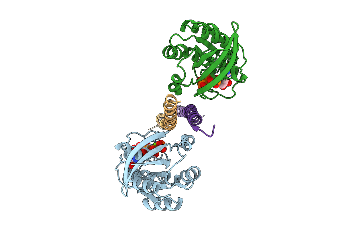1S1C image