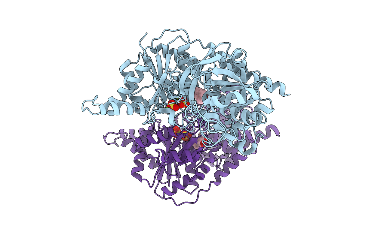 1S1M image