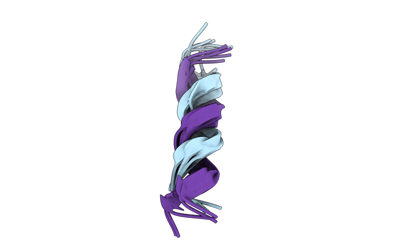 1S1O image