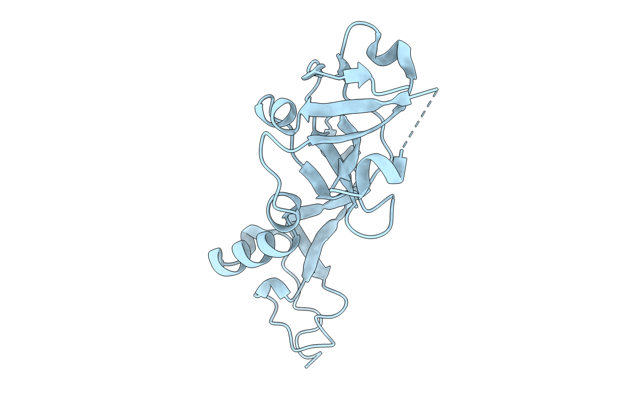 1S21 image