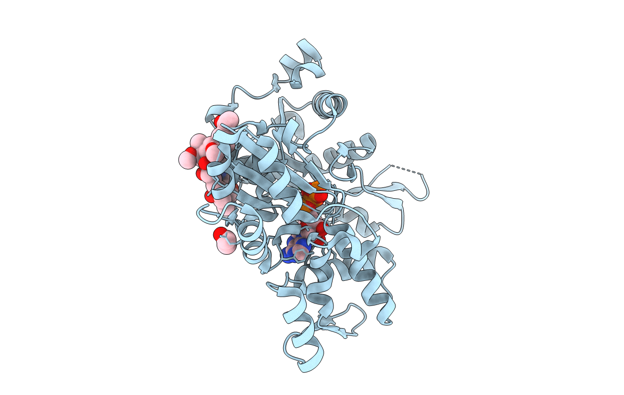 1S22 image
