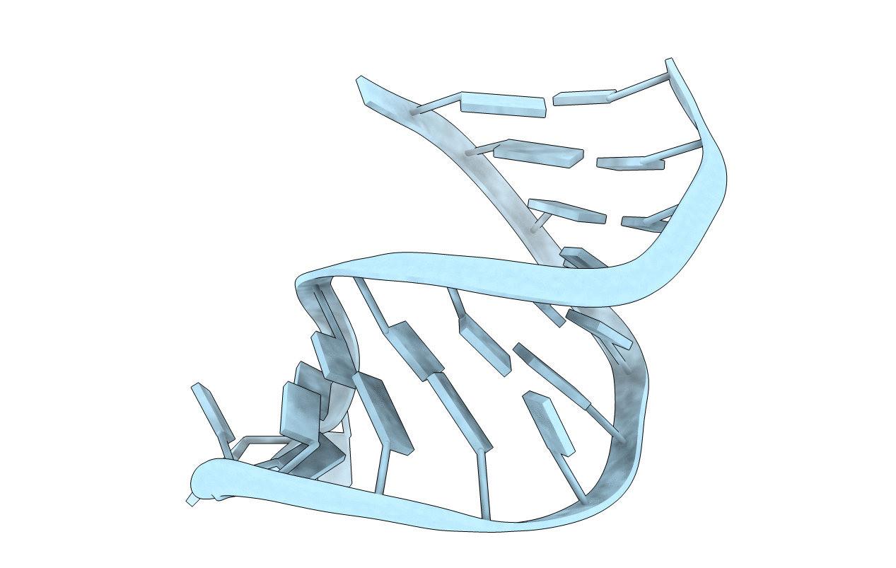 1S2F image