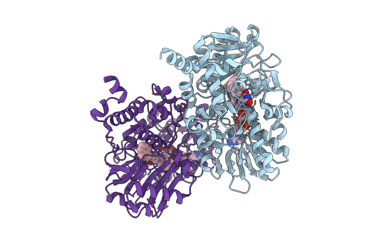 1S3B image